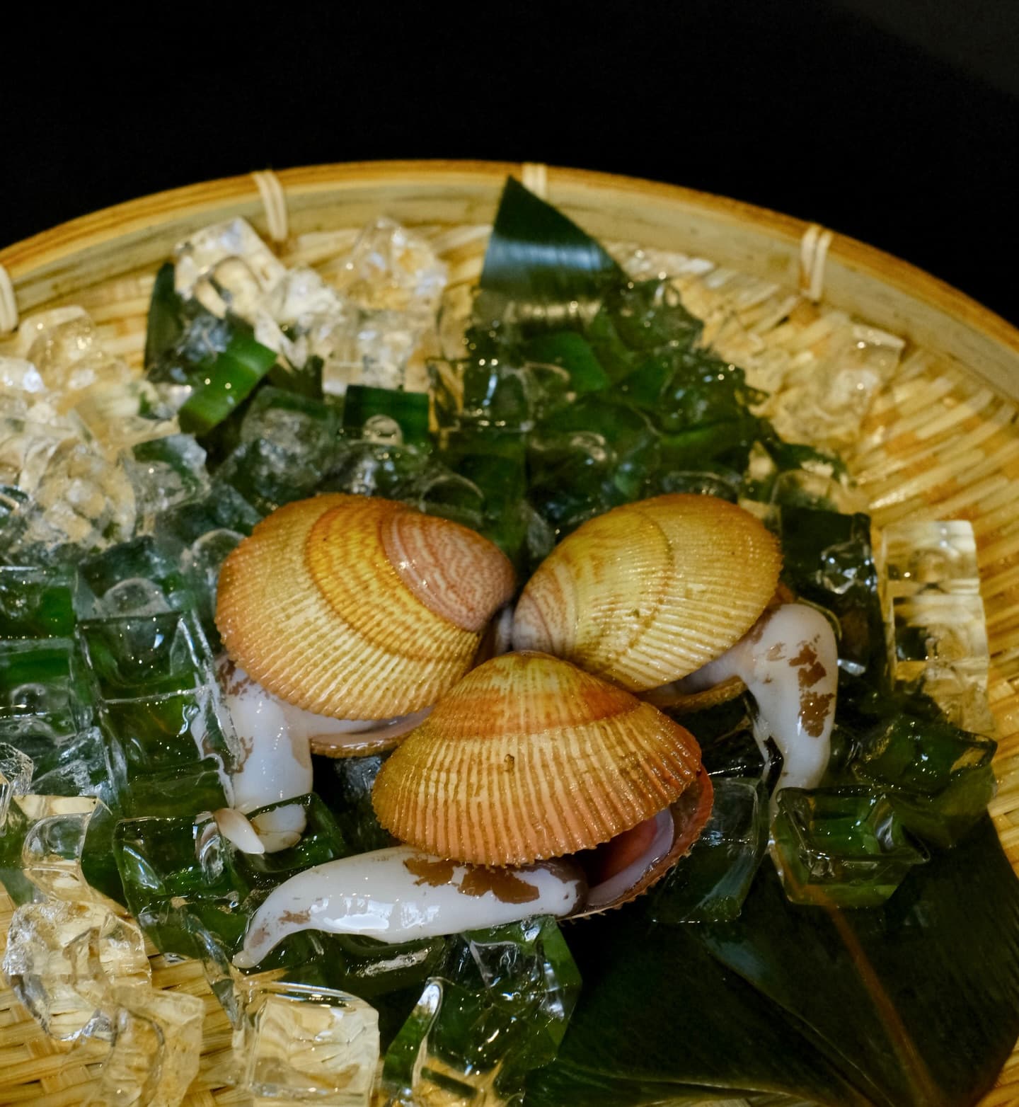 Live clams on ice with seaweed and leaves in a bamboo basket