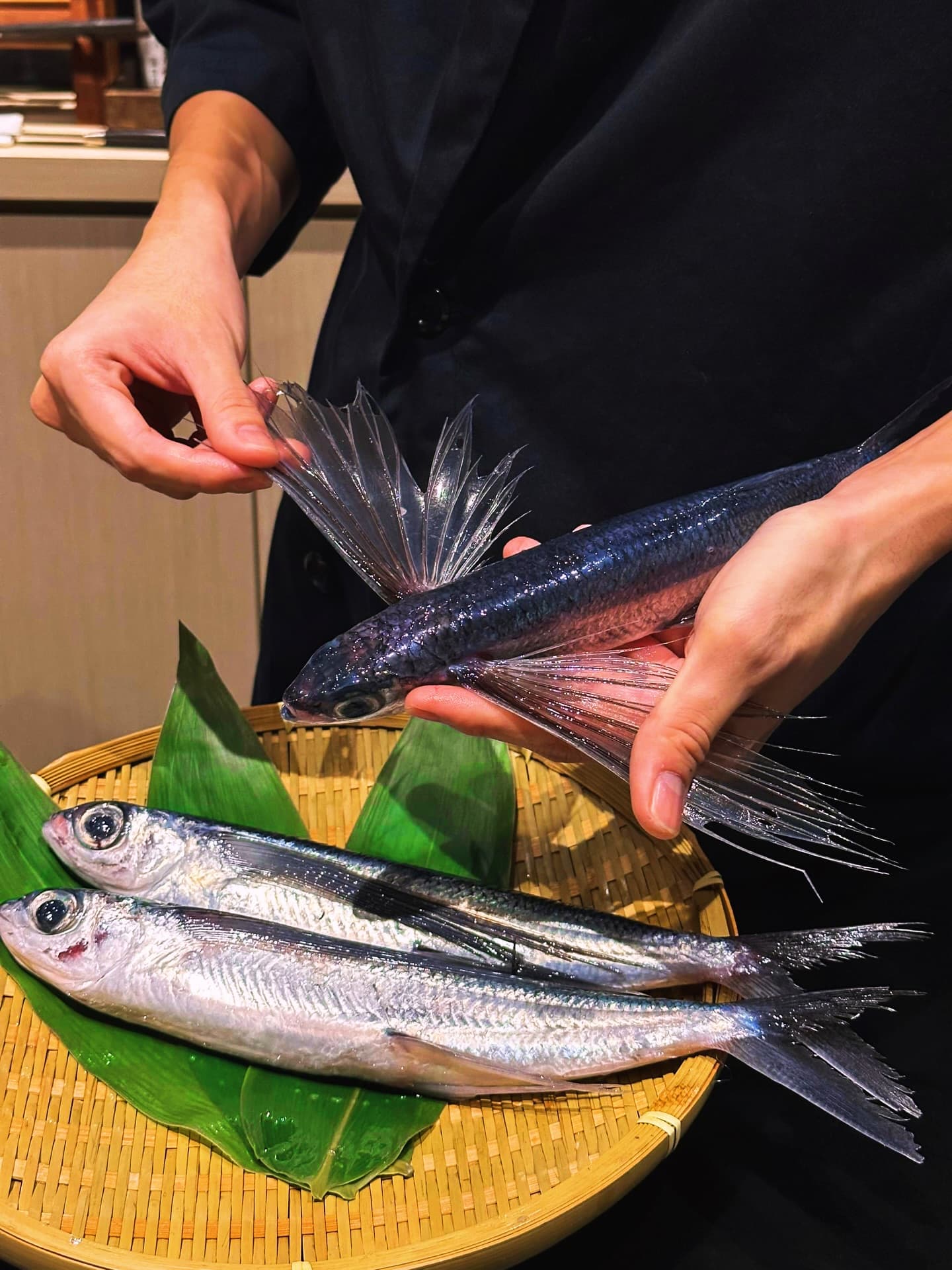 A chef’s hands holding a flying fish with its wings spread above a basket of whole fish